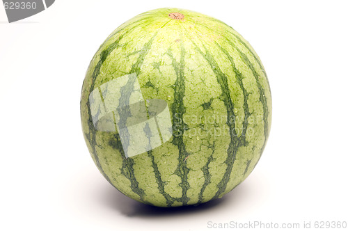 Image of personal size watermelon