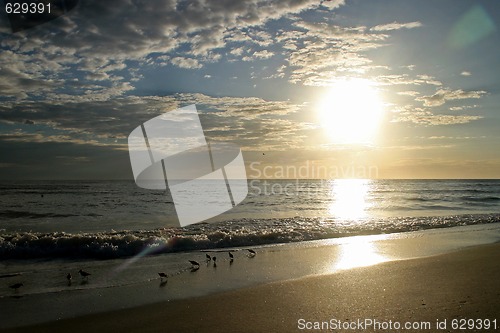 Image of Stunning Sunset