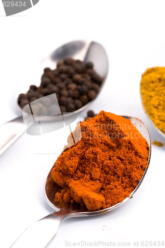 Image of ground spices