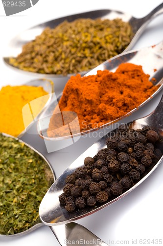 Image of various ground spices