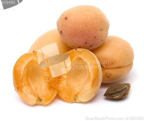 Image of apricots