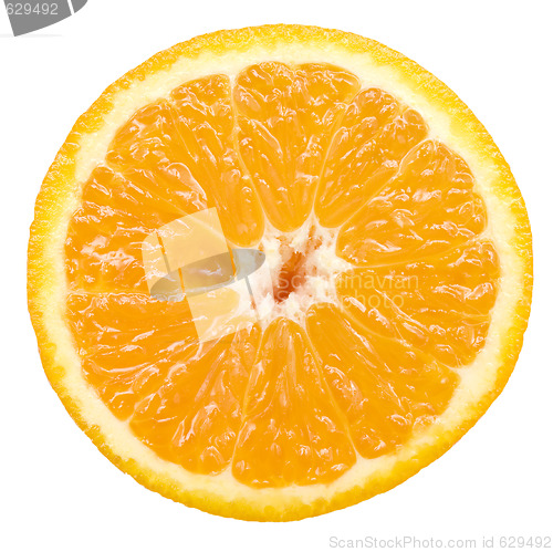 Image of orange slice