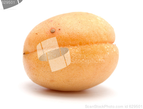 Image of apricot
