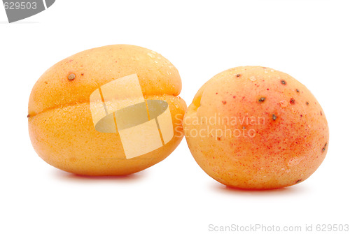 Image of apricots