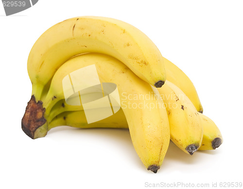 Image of banch of bananas