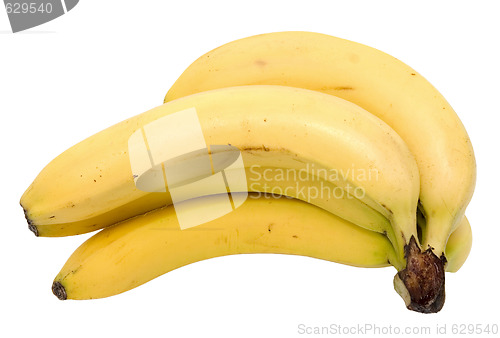 Image of bananas
