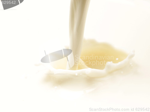 Image of milk