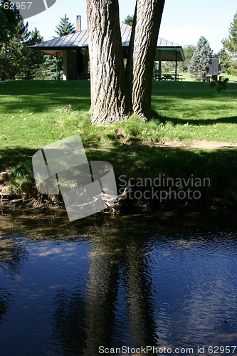 Image of Park and the Tree