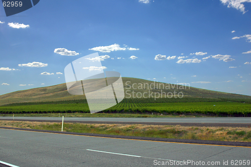 Image of Countryside Farming Fields on a Hill