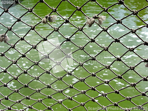Image of Rope Net
