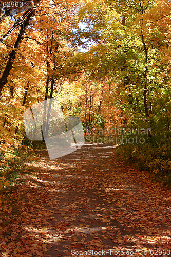 Image of Down the Fall Path