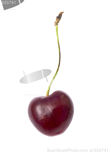 Image of sweet cherry