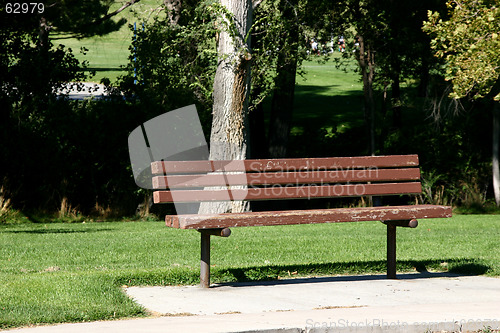 Image of Bench in a Park