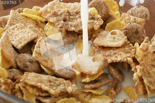 Image of Corn flakes