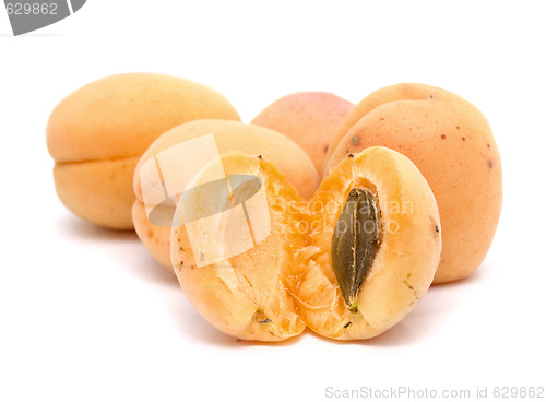 Image of apricots