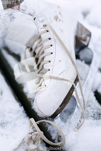 Image of Close-up of a white ice skate.