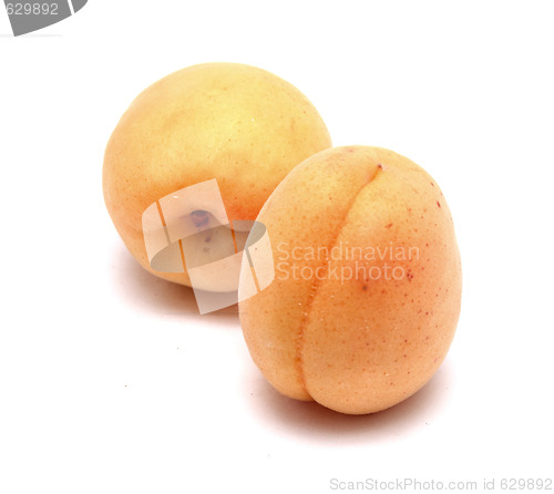 Image of apricots