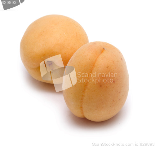 Image of apricots