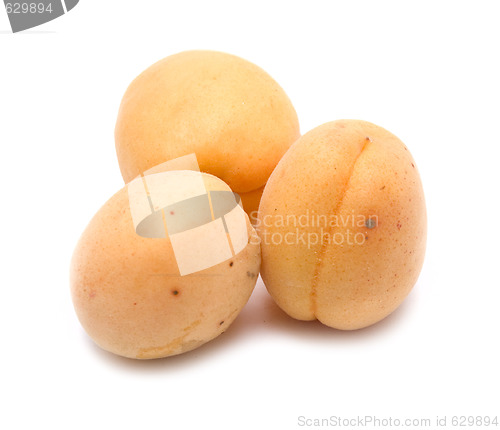 Image of apricots