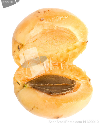 Image of apricot