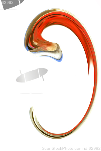 Image of Digital Abstract Art - Ear