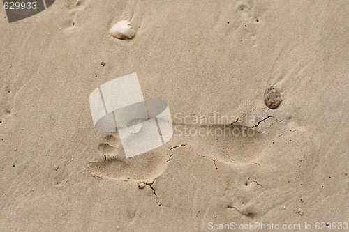Image of Footprint in the sand.