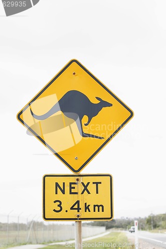 Image of Kangaroo warning road sign.