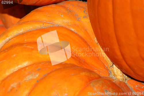 Image of Up Close - Pumpkin