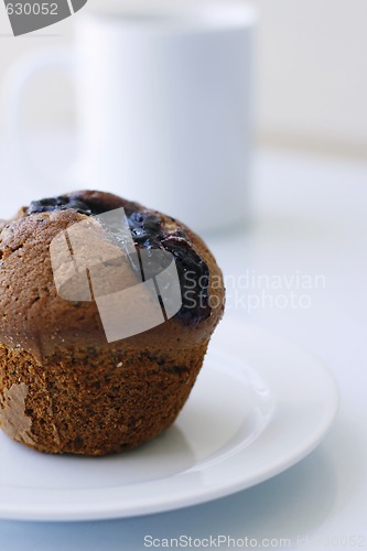 Image of Blueberry muffin on a white plate.