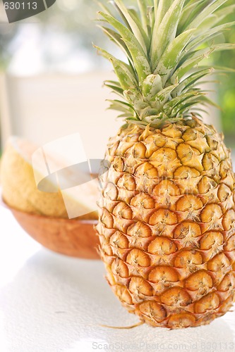 Image of Colorful tropical fruit arrangement.