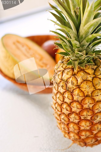 Image of Colorful tropical fruit arrangement.