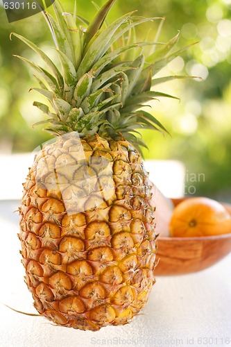 Image of Colorful tropical fruit arrangement.