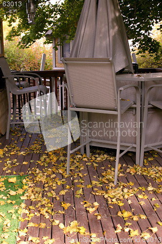 Image of Fall in the Backyard