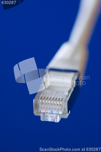 Image of network cable