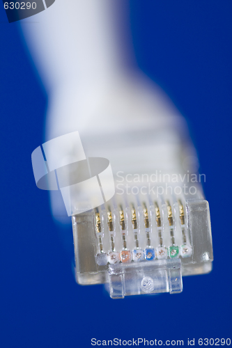 Image of network cable