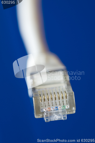 Image of network cable