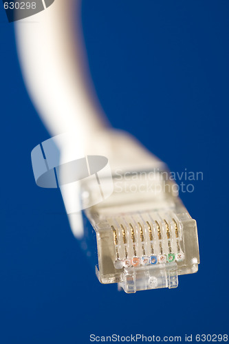 Image of network cable