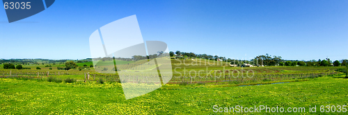 Image of Panoramic Barossa