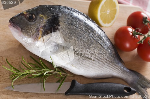 Image of Raw fish