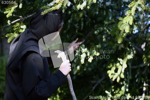 Image of Orthodox nun touching a pine tree.