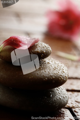 Image of Flower petal resting on rounded pebbles.