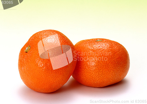 Image of Oranges