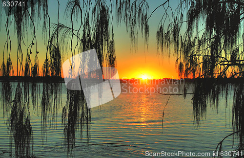 Image of Casuarina Sunrise