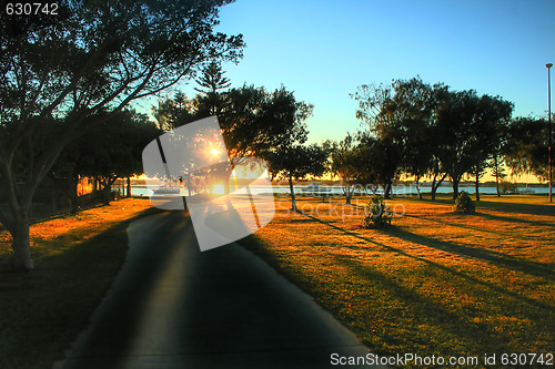 Image of Sun Through Trees