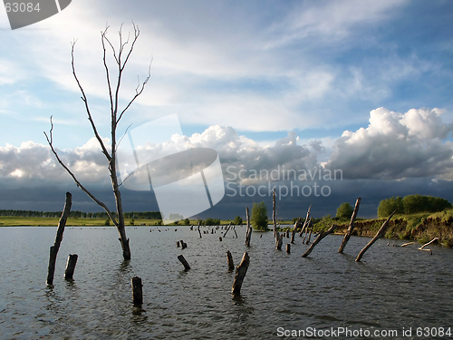 Image of Old pond