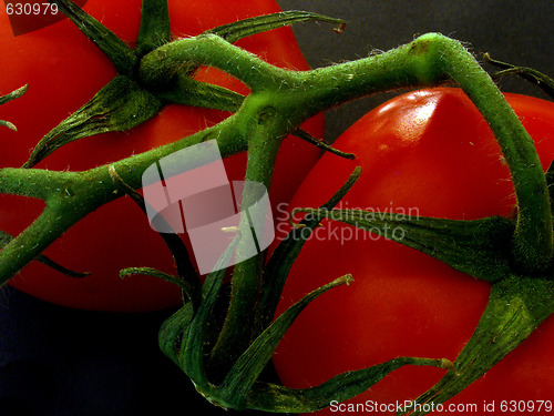 Image of tomatoes