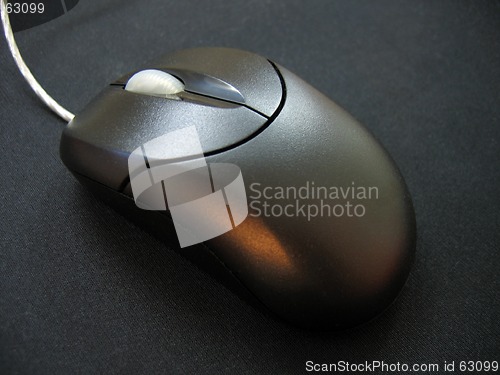 Image of Black Mouse