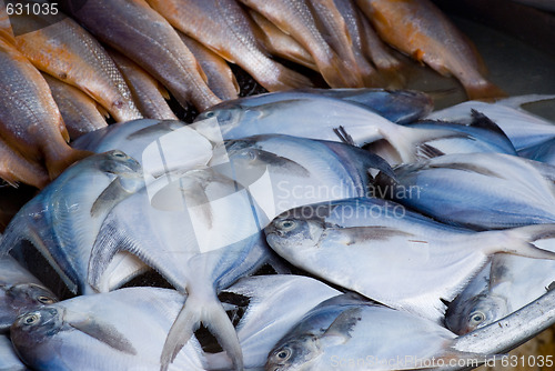 Image of Fish in a market