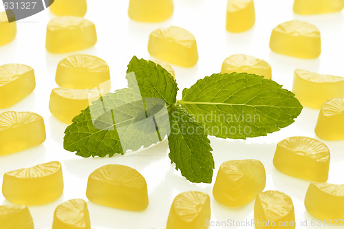 Image of Lemon wine gums