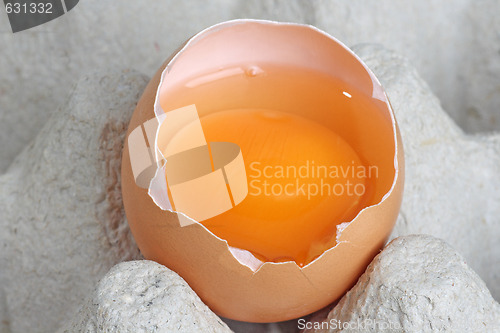 Image of Fresh eggs
